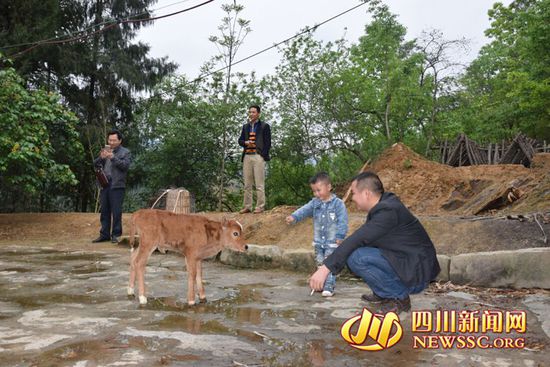 村里人知道后，前來看熱鬧
