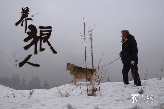7旬老人養(yǎng)150匹野狼 伙食費(fèi)1年花近百萬(wàn)