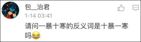 鶴立雞群？雞立鶴群！