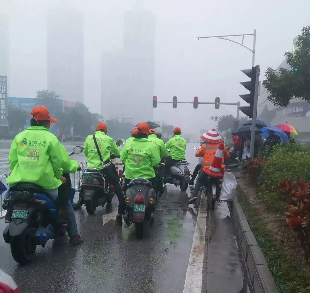 出門打驢？ 南寧“滴滴打驢”被緊急叫停