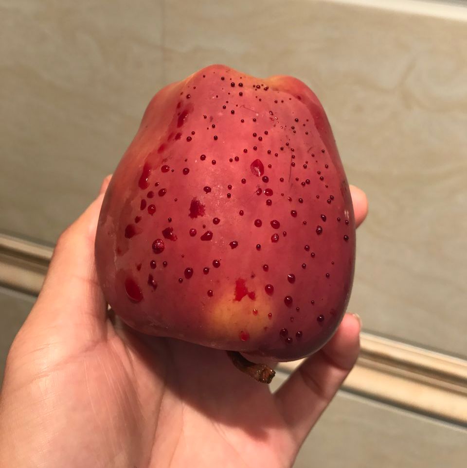 嚇懵！女子用熱水泡蘋果結(jié)果冒出血珠 咋回事？