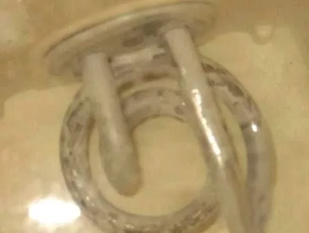 太惡心！女游客竟用酒店燒水壺煮自己的臟內褲