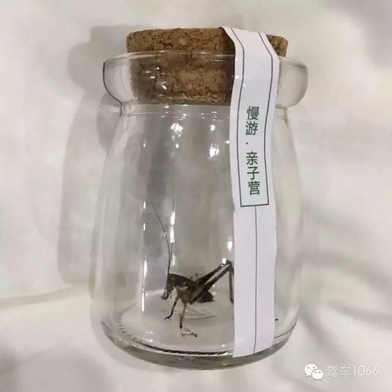 看看我的成果吧！