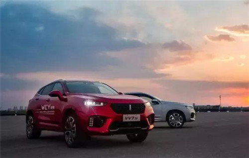 去年“蹦”出來的新汽車品牌們，現(xiàn)在活得怎么樣了？