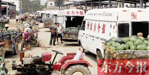 昨日，東方今報(bào)與河南福壽園聯(lián)合購瓜，只有更多的市民和企業(yè)加入購瓜行動(dòng)，瓜農(nóng)們才能早日回家