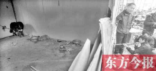 12月4日，鄭州市未來路與隴海路交叉口西側(cè)，執(zhí)法人員用吹管麻醉針對付一只藏獒