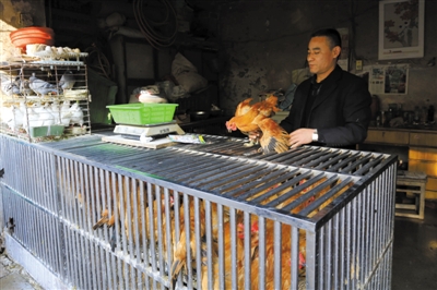 南京另一家農(nóng)貿(mào)市場內(nèi)待售的活雞。因南京出現(xiàn)H7N9禽流病例，買活雞的顧客減少。