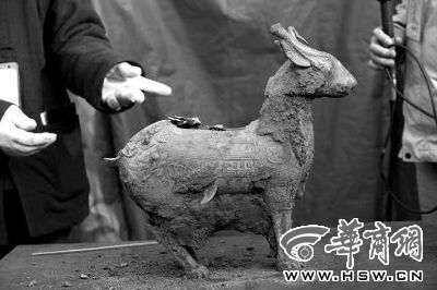 一件似羊似鹿的犧尊華麗亮相，可愛的造型“萌翻”現(xiàn)場。