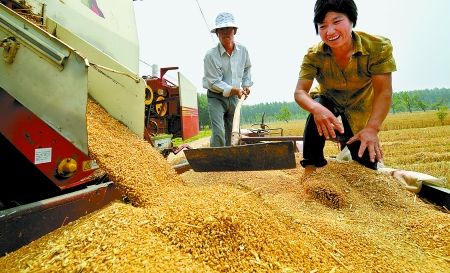 6月3日， 濮陽開發(fā)區(qū)胡村鄉(xiāng)后范莊村的續(xù)秀萍看著新打的粒大飽滿的小麥喜上眉梢。
