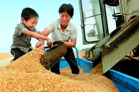 5月27日，確山縣劉店鎮(zhèn)前槽村郭景蓮和小孫子一起收獲小麥，豐收的喜悅寫在了臉上。