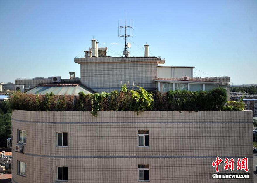 北京一大廈樓頂建“空中花園” 北京一大廈樓頂建“空中花園”