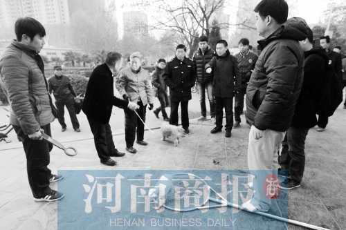 一只辦過狗證的小白狗，因為沒有拴犬鏈，被執(zhí)法人員暫扣