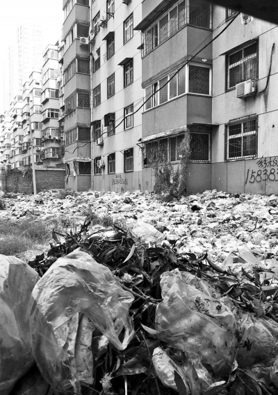 透過擋板縫向內看，30多米垃圾已經將居民樓包圍。