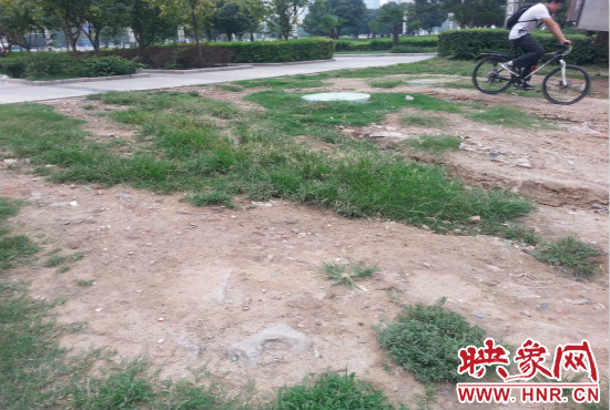 公園內(nèi)大片草坪遭到破壞。