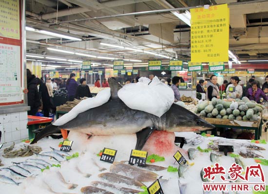 鄭州市一家超市海鮮區(qū)的冰架上赫然擺著一整條鯊魚在出售，鯊魚肉價(jià)格為23.80元每斤，遠(yuǎn)低于牛羊肉的價(jià)