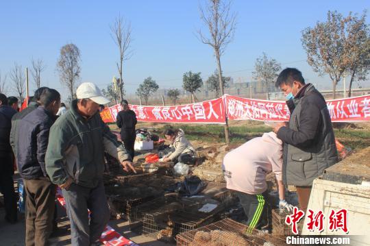 圖為百余名愛狗人士把老李的貨車攔截，數(shù)十人正在從貨車上卸下裝滿狗的鐵籠?！●R義恒　攝