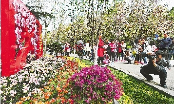 市民紛紛將鏡頭對(duì)準(zhǔn)花叢。