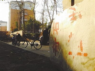 昨日，“上海奇石盆景博物館”原址上，已矗立起小區(qū)樓盤，而刻著博物館名的巨石，廢棄在一旁。本版圖片/新京報記者 張永生 攝