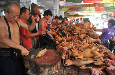 玉林狗肉節(jié)。