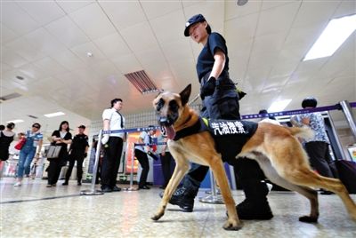 地鐵王府井站搜汽油警犬在安檢口巡邏。新京報記者 王貴彬 攝