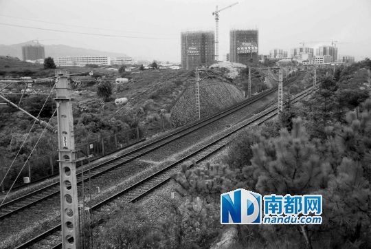 　東源縣法院院長(zhǎng)被火車撞亡事發(fā)地段。