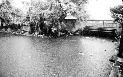 白云區(qū)棠樂路通往石槎路的一個鐵路橋底涵洞常被暴雨積水淹沒。《信息時報》供圖