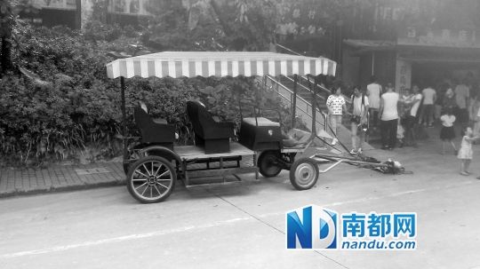 園方則稱解剖后發(fā)現(xiàn)馬死于心臟衰竭，“與累無關”。