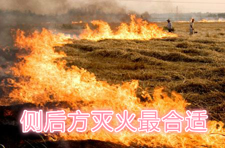 不要在風(fēng)頭上打火：風(fēng)正大，火正旺，最容易傷人；