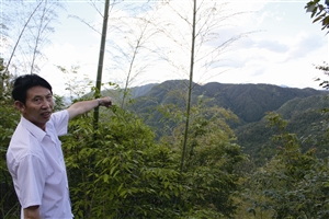 村民吳學(xué)田告訴記者，對面兩座山就是潘建友承包的部分山場 見習(xí)記者 邱一文 攝