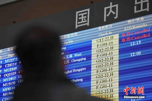 資料圖。中新社記者 崔楠 攝