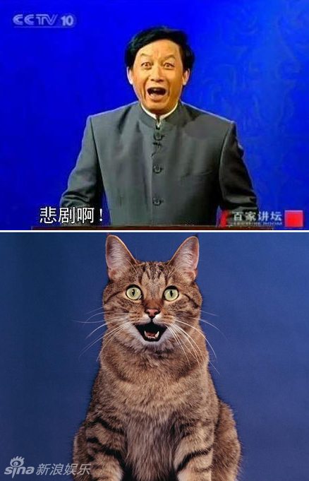 不小心就撞臉了！盤點動物界的明星相