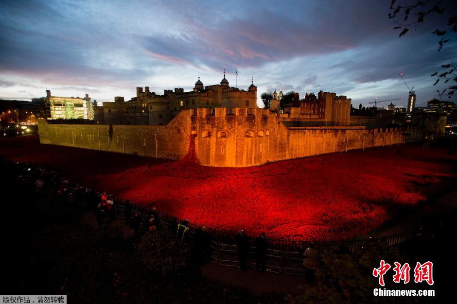 當(dāng)?shù)貢r間2014年11月10日，英國倫敦，倫敦塔周邊“種植”了888246朵陶瓷材質(zhì)的罌粟花，以此紀