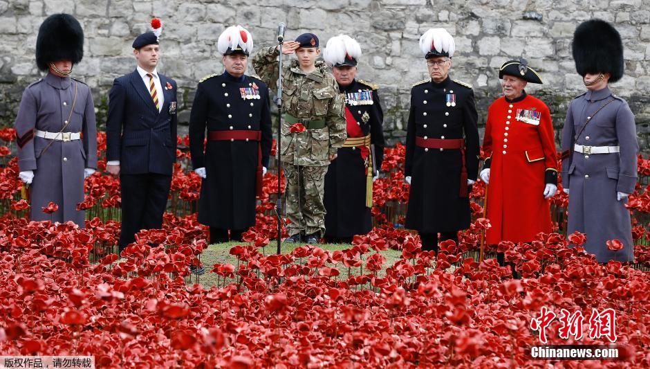 當(dāng)?shù)貢r間2014年11月10日，英國倫敦，倫敦塔周邊“種植”了888246朵陶瓷材質(zhì)的罌粟花，以此紀