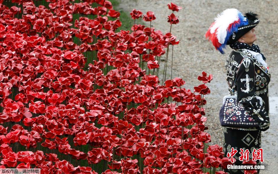 當(dāng)?shù)貢r間2014年11月10日，英國倫敦，倫敦塔周邊“種植”了888246朵陶瓷材質(zhì)的罌粟花，以此紀