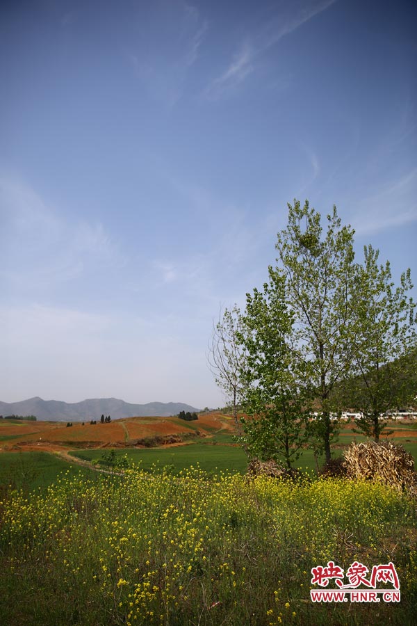 庫(kù)區(qū)的藍(lán)天、白云、綠樹(shù)、黃花給人清新的享受