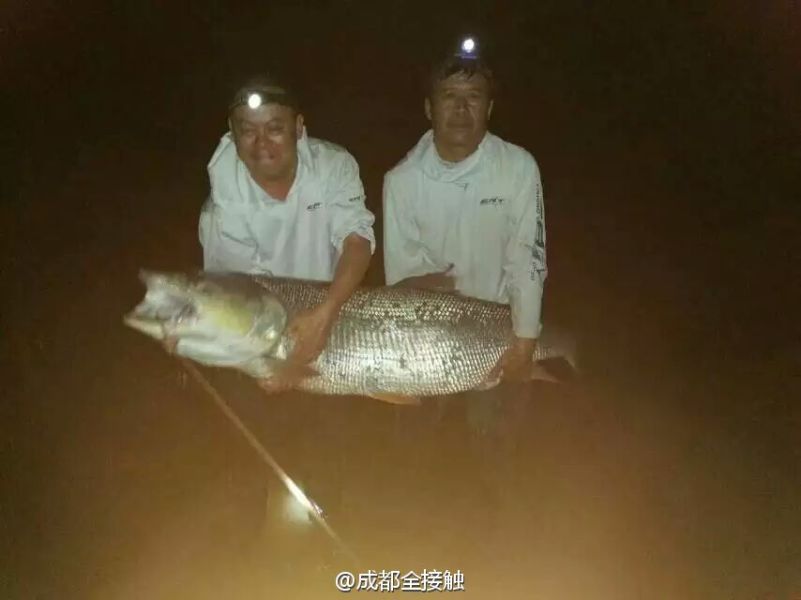 　圖為大魚(yú)需要兩個(gè)人抱起。