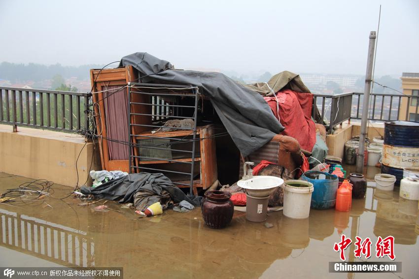 公共天臺(tái)變菜園 公共天臺(tái)變菜園