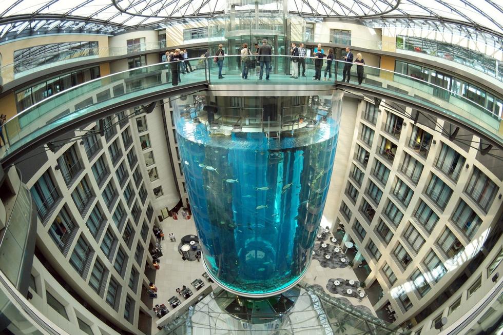 在圓柱水族館主體下方，還有一些別的展館。