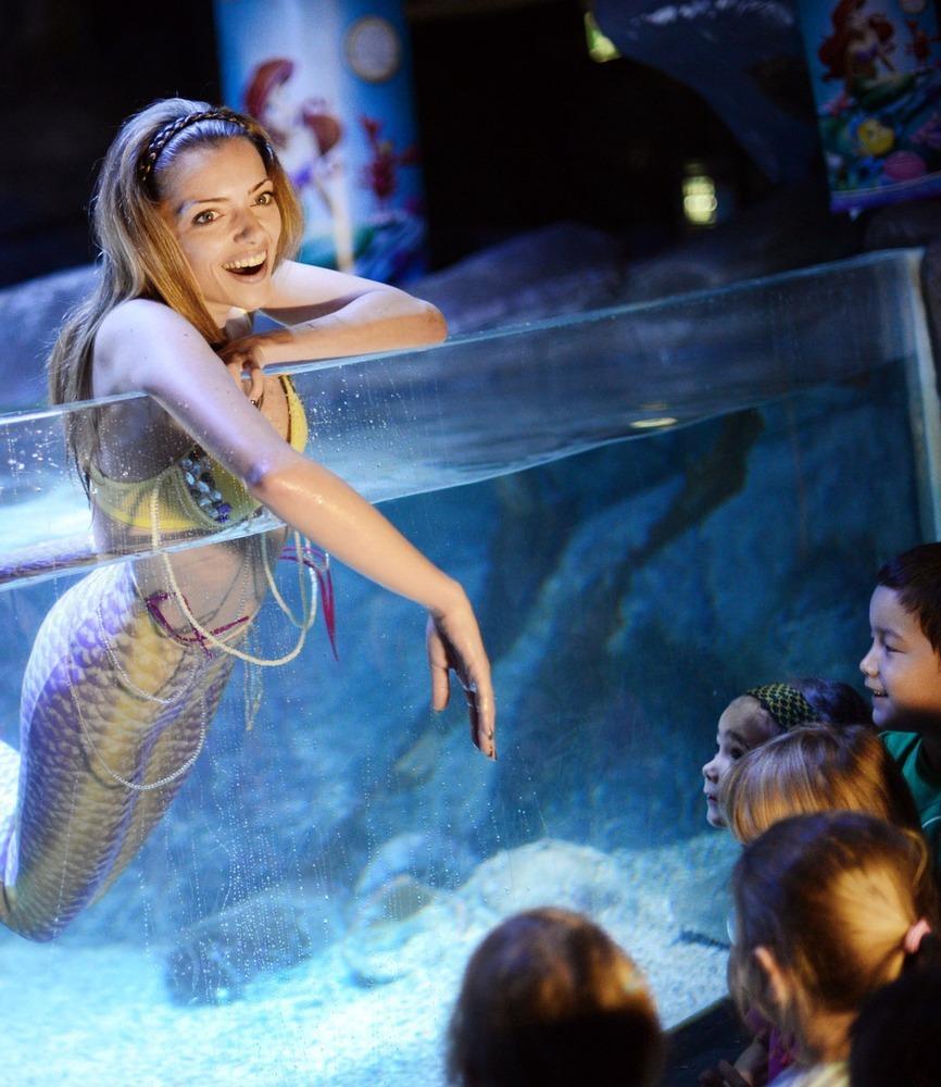 德國女演員安妮·門登在水族館里客串了一把“美人魚”，順便為她的電影《小美人魚》做宣傳。