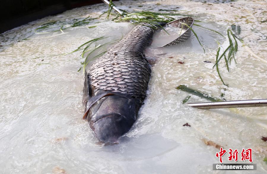 “魚王”在3米大鍋內(nèi)烹飪。 圖片來源：CFP視覺中國