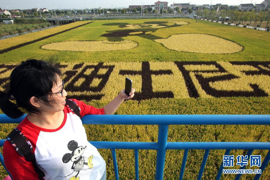 10月25日，游客在觀景臺(tái)上觀賞“米老鼠”稻田畫。