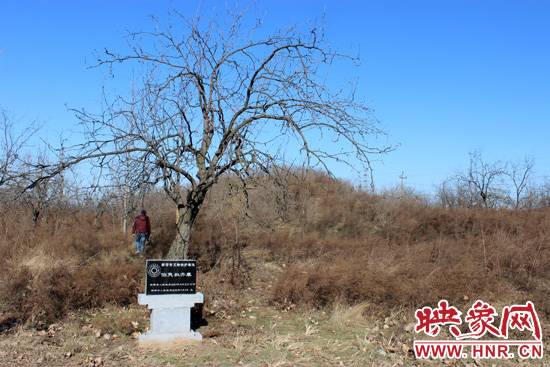 在叔齊墓的前面，豎著新鄭市人民政府今年剛立的石碑，上面寫著“新鄭市文物保護單位”。