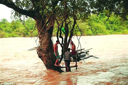 蓋屋、種菜，“從沒這樣快樂”