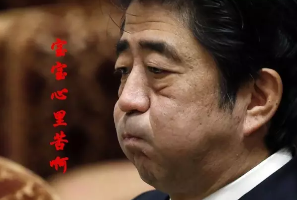 這種看安倍“熱鬧”的事兒，環(huán)環(huán)絕不私藏，一定雨露均沾!