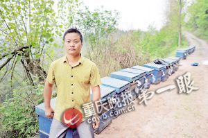 34歲的佘平將28箱蜜蜂運上山打造蜂衣 34歲的佘平將28箱蜜蜂運上山打造蜂衣