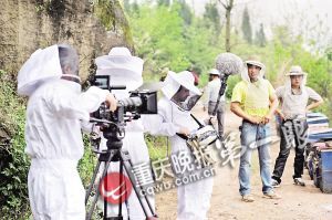 3個法國攝影師穿著防蜂服進行全程跟拍 3個法國攝影師穿著防蜂服進行全程跟拍