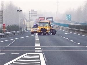 2米高鴕鳥撞破收費站護欄，高速上狂奔8公里。