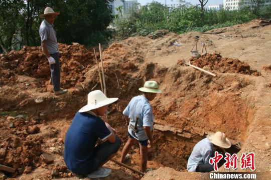 巖橋村廟山地區(qū)考古現(xiàn)場。　桐廬文管辦　攝