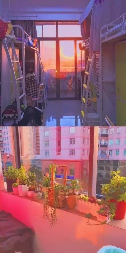 這個(gè)學(xué)校的男生宿舍火了！女同學(xué)都喊著要嫁