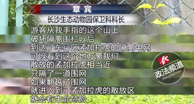 2女1男為逃票翻墻進(jìn)動(dòng)物園 落地時(shí)周?chē)玖?只虎